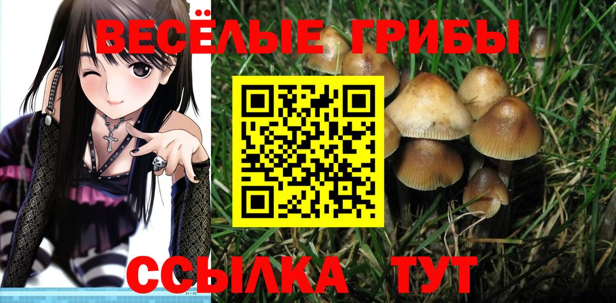 Псилоцибиновые грибы Psilocybine cubensis  Вход с VPN  Псилоцибиновые грибы Psilocybine cubensis  Жуковский 
